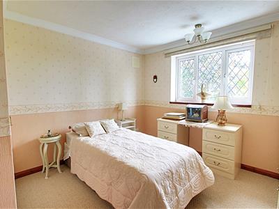 Picture 7